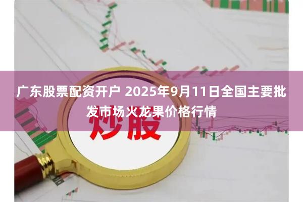 广东股票配资开户 2025年9月11日全国主要批发市场火龙果价格行情